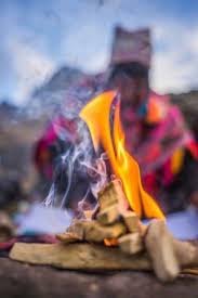 Palo Santo sticks